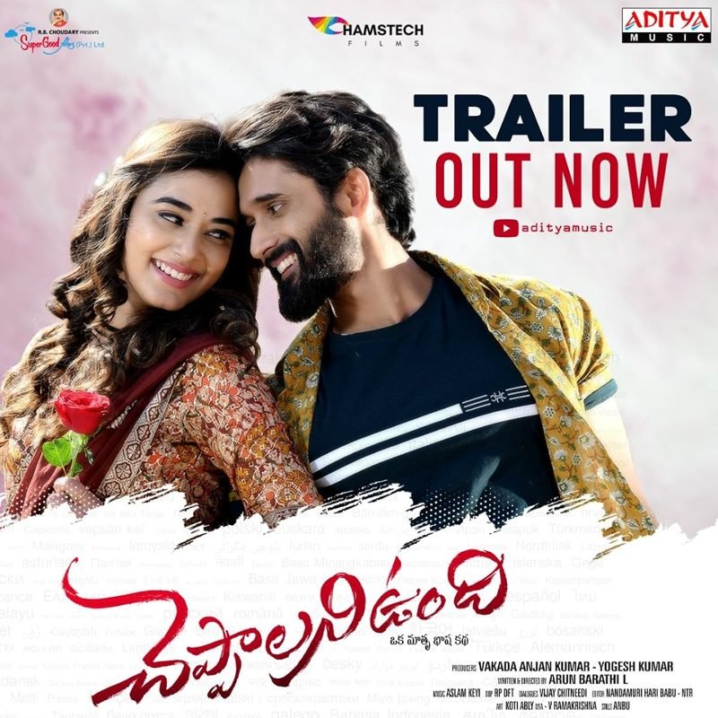 Cheppalani Undhi poster